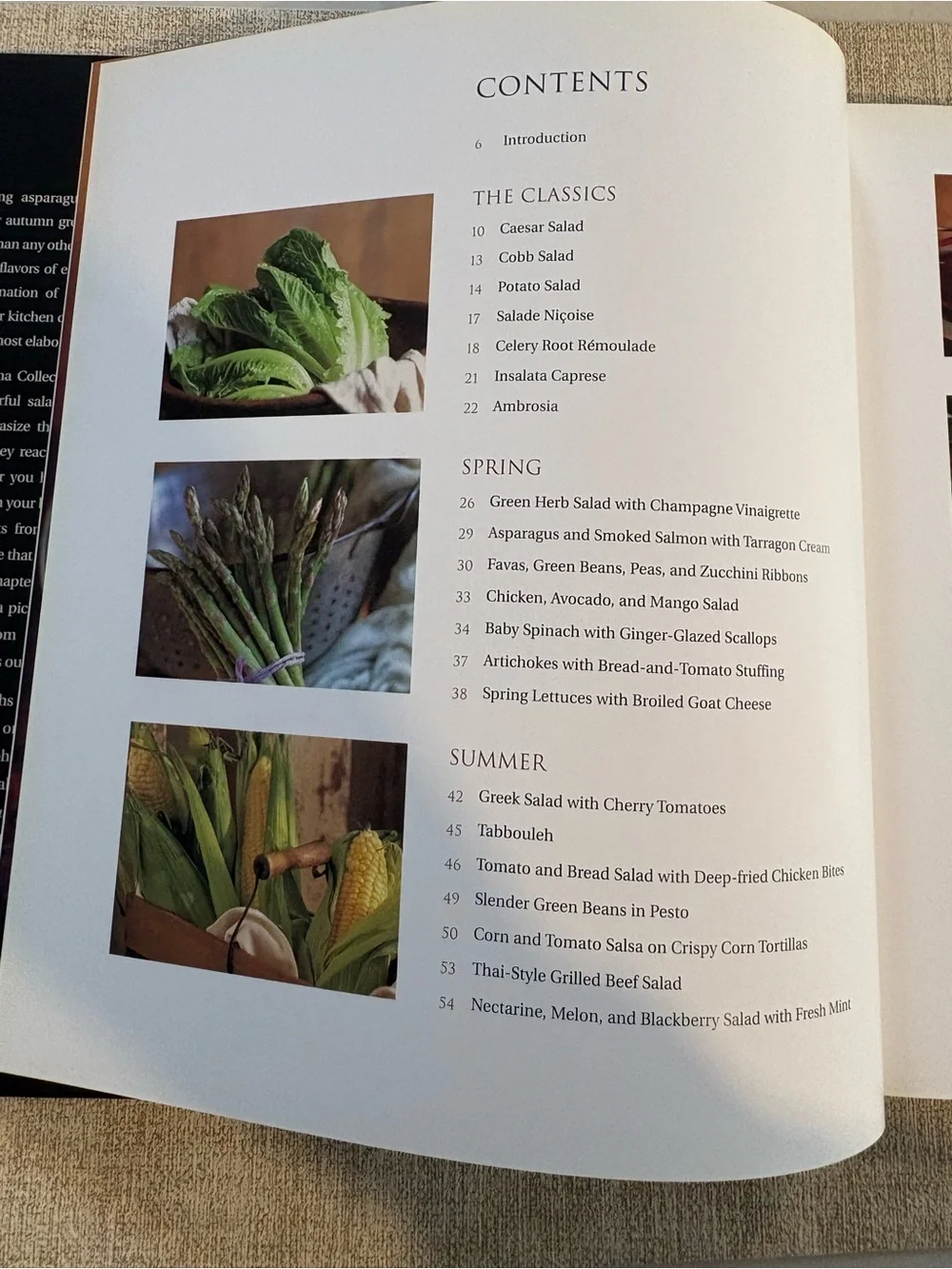 Williams-Sonoma Salad Cookbook - Black & Green Cover